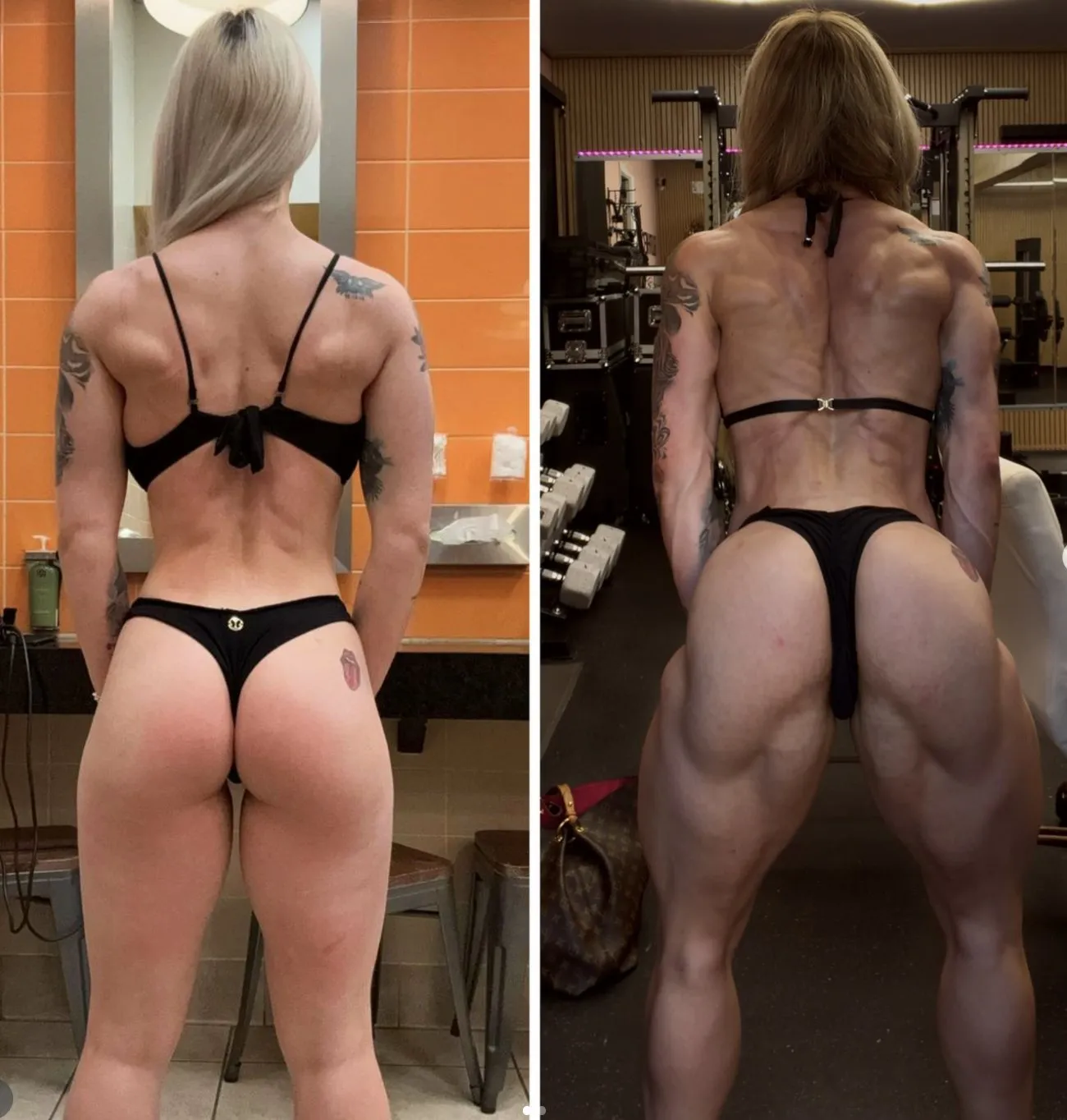 Atleta GNTEAM — evolução até o palco do Olympia